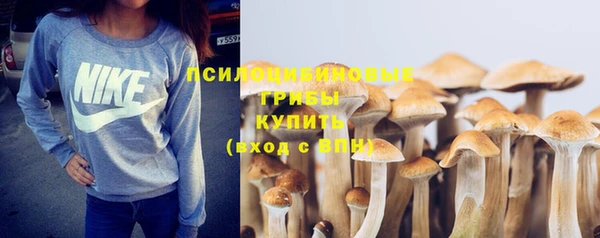 2c-b Беломорск