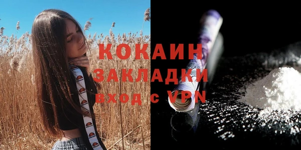 стафф Богданович