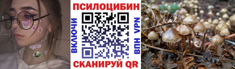 где найти наркотики  Курильск  Галлюциногенные грибы MAGIC MUSHROOMS 